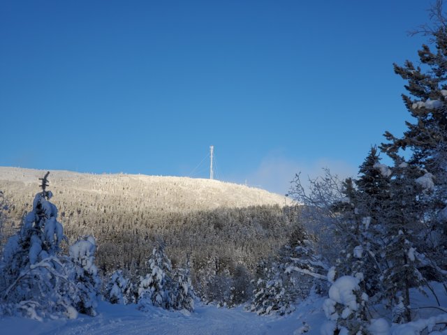 haeckelhill202012231.jpg