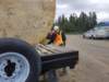 july11relocationtwogoodcommshells11_small.jpg