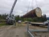 july11relocationtwogoodcommshells7_small.jpg